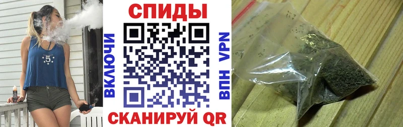 закладки  Лермонтов  Бутират BDO 