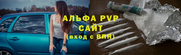 стафф Надым