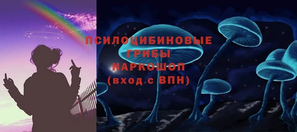 стафф Надым