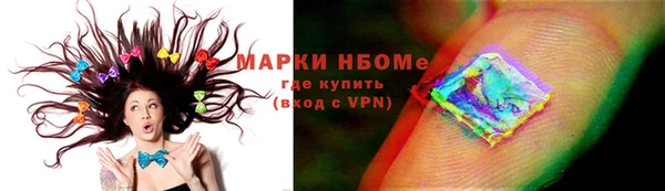 стафф Надым
