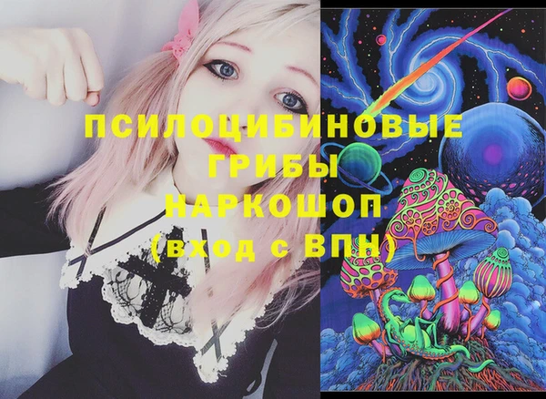 стафф Надым